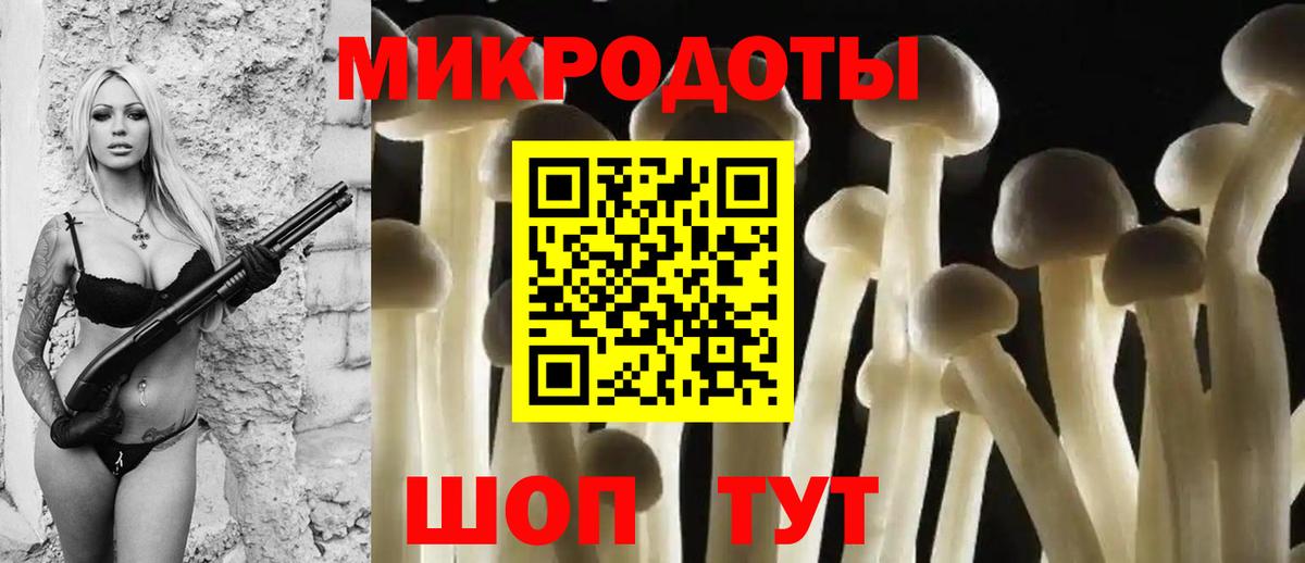 Галлюциногенные грибы Psilocybine cubensis Сухой Лог