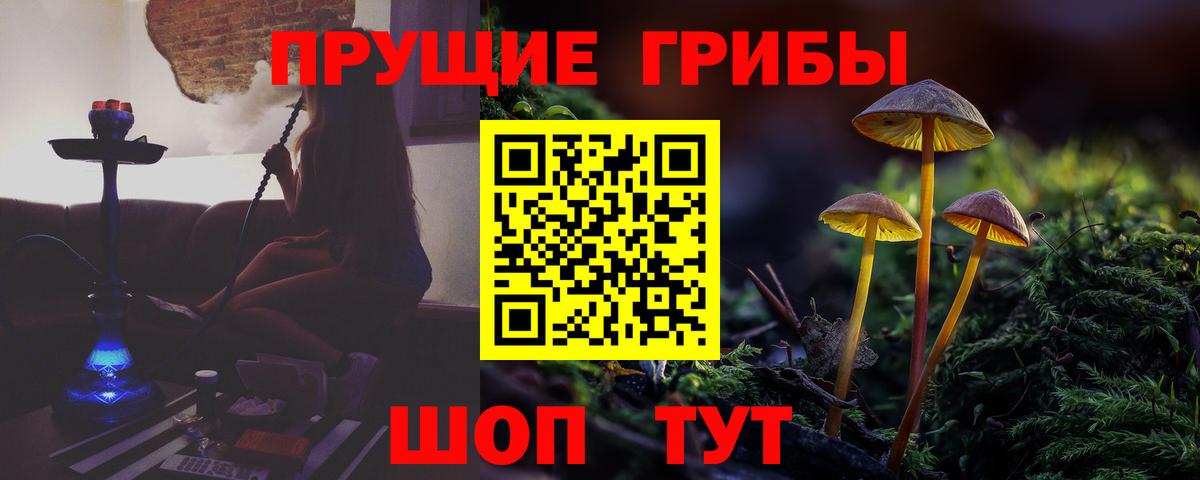 Сухой Лог  Галлюциногенные грибы мицелий  Вход с VPN 